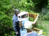 2007 Picnic pics